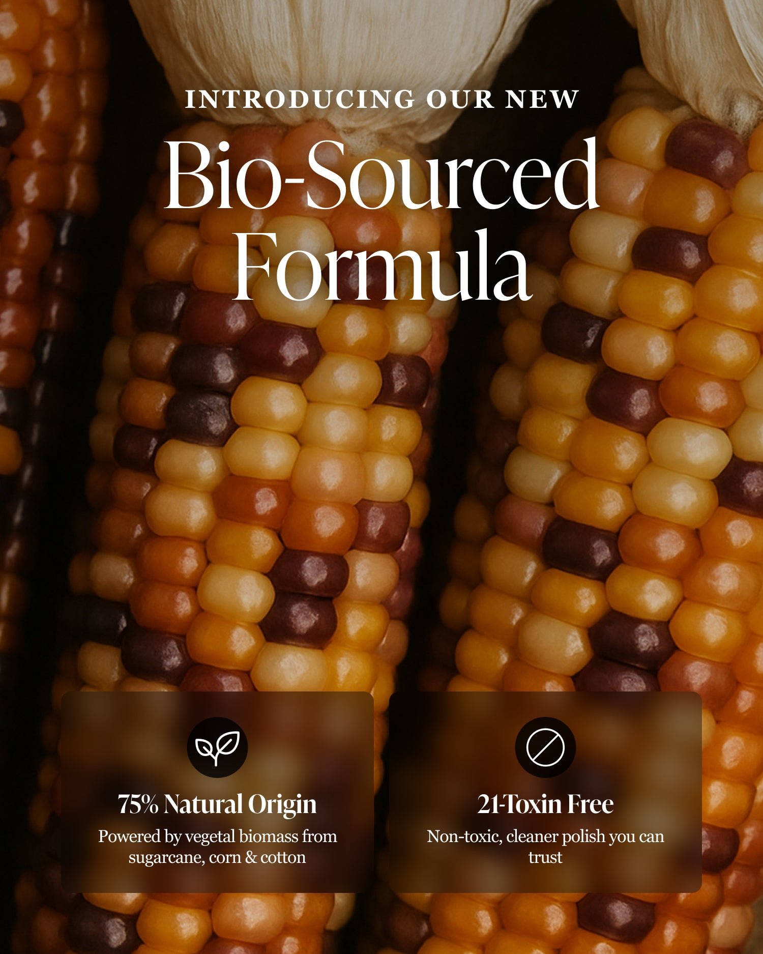 Nailberry-Infographic17_d292b02a-c6f4-4277-9d85-9e7018bba145