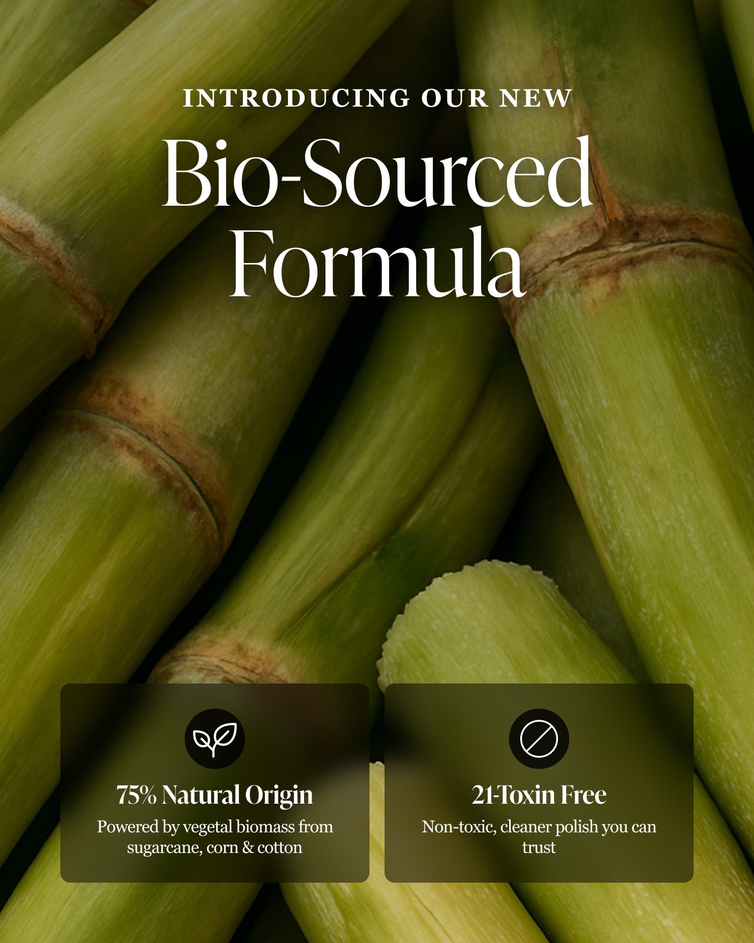 Nailberry-Infographic18_6d02784e-980e-4372-b314-39ad524b6078